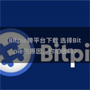 Bitpie跨平台下载 选择Bitpie的原因，你知道吗？