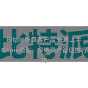 Bitpie钱包客户端 快速上手Bitpie钱包，多链资产管理技巧