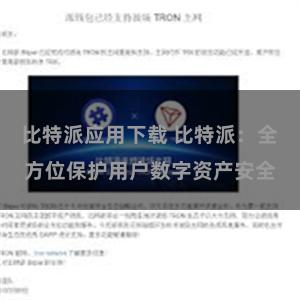 比特派应用下载 比特派：全方位保护用户数字资产安全