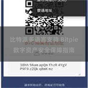 比特派多语言支持 Bitpie数字资产安全保障指南