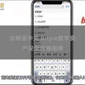 比特派中文 Bitpie数字资产安全保障指南