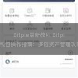 Bitpie最新教程 Bitpie钱包操作指南：多链资产管理攻略