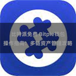 比特派免费 Bitpie钱包操作指南：多链资产管理攻略