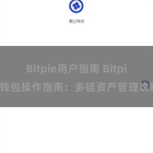 Bitpie用户指南 Bitpie钱包操作指南：多链资产管理攻略