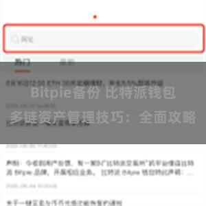 Bitpie备份 比特派钱包多链资产管理技巧：全面攻略