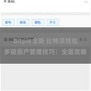 Bitpie全新 比特派钱包多链资产管理技巧：全面攻略