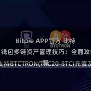 Bitpie APP官方 比特派钱包多链资产管理技巧：全面攻略