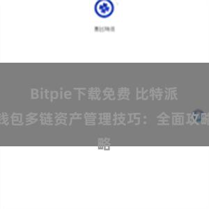 Bitpie下载免费 比特派钱包多链资产管理技巧：全面攻略