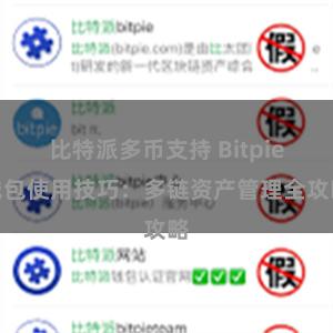 比特派多币支持 Bitpie钱包使用技巧：多链资产管理全攻略