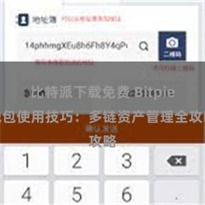 比特派下载免费 Bitpie钱包使用技巧：多链资产管理全攻略