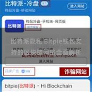 比特派隐私 Bitpie钱包支持的区块链网络全面解析