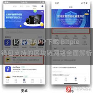 比特派APP下载 Bitpie钱包支持的区块链网络全面解析