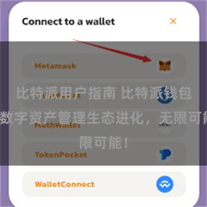 比特派用户指南 比特派钱包：数字资产管理生态进化，无限可能！