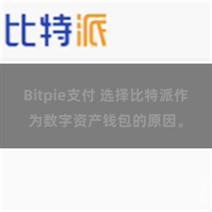 Bitpie支付 选择比特派作为数字资产钱包的原因。