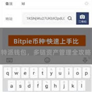 Bitpie币种 快速上手比特派钱包，多链资产管理全攻略