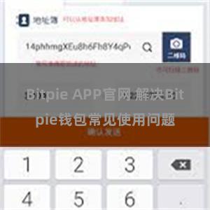 Bitpie APP官网 解决Bitpie钱包常见使用问题