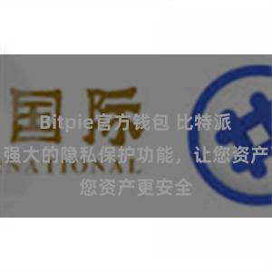 Bitpie官方钱包 比特派钱包：强大的隐私保护功能，让您资产更安全