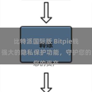 比特派国际版 Bitpie钱包：强大的隐私保护功能，守护您的资产