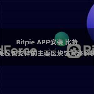 Bitpie APP安装 比特派钱包支持的主要区块链网络解析