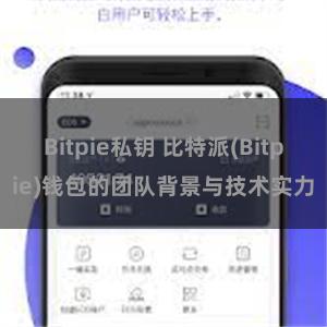 Bitpie私钥 比特派(Bitpie)钱包的团队背景与技术实力