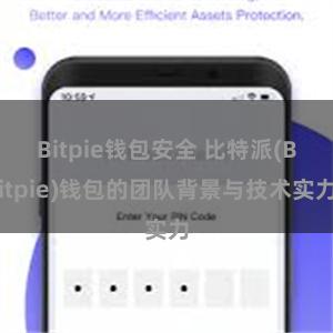 Bitpie钱包安全 比特派(Bitpie)钱包的团队背景与技术实力