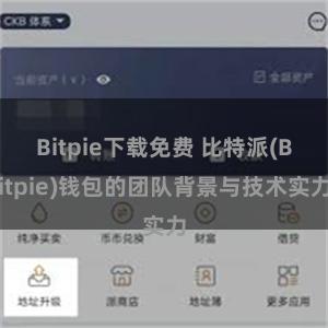 Bitpie下载免费 比特派(Bitpie)钱包的团队背景与技术实力