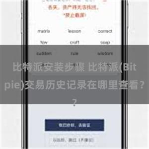 比特派安装步骤 比特派(Bitpie)交易历史记录在哪里查看？