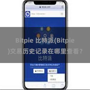 Bitpie 比特派(Bitpie)交易历史记录在哪里查看？