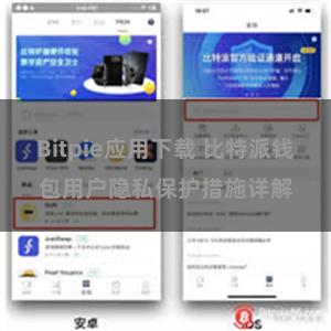 Bitpie应用下载 比特派钱包用户隐私保护措施详解