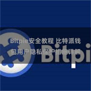 Bitpie安全教程 比特派钱包用户隐私保护措施详解