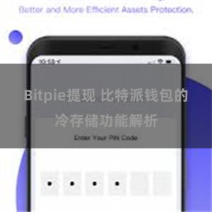 Bitpie提现 比特派钱包的冷存储功能解析