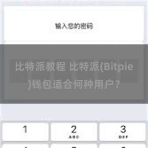 比特派教程 比特派(Bitpie)钱包适合何种用户？